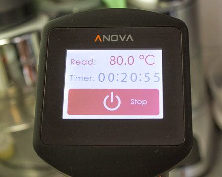 anova immersione circulator