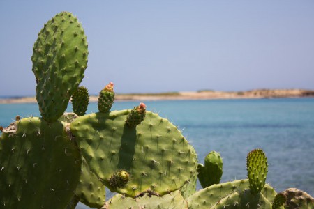 da marzamemi a noto